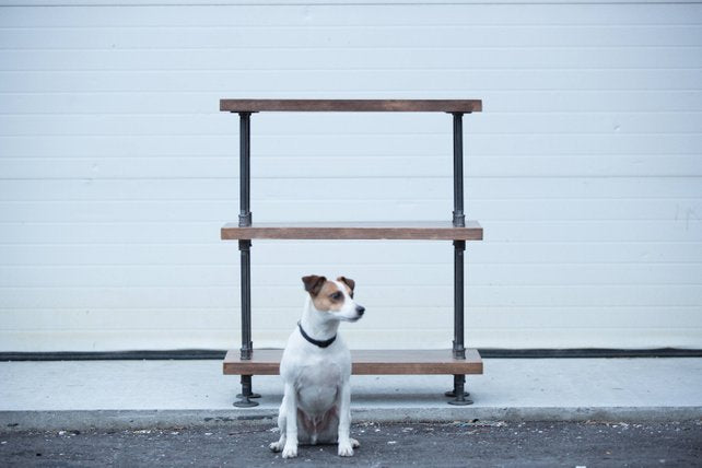 Steel and Wood Bookcase - Pipe And Wood Designs 